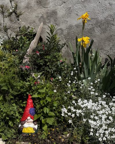 b526a277-b883-48ed-ab82-4e35753ce2cb